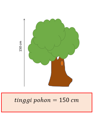 gambar pohon tinggi 150 cm